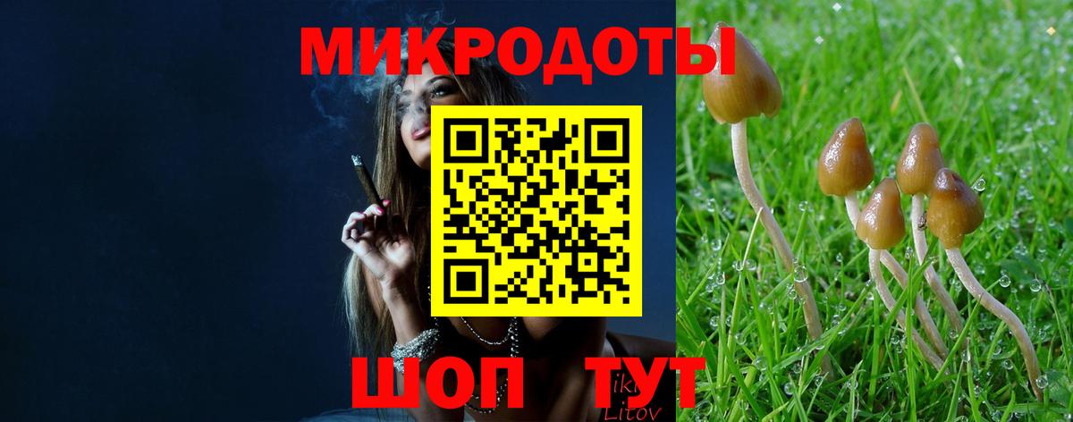 Елизово  Галлюциногенные грибы ЛСД  Псилоцибиновые грибы ЛСД  Вход с VPN 